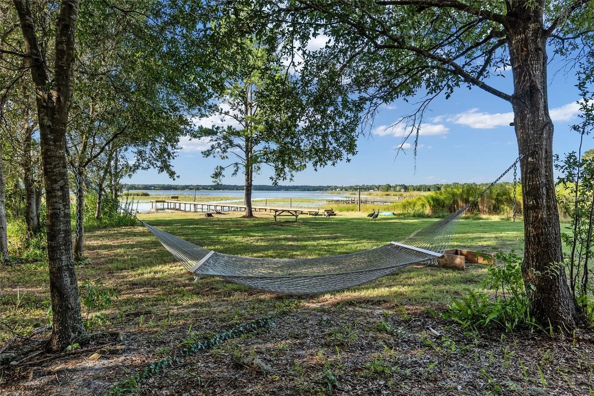 9947 SE 117th Street Road Belleview FL 34420
