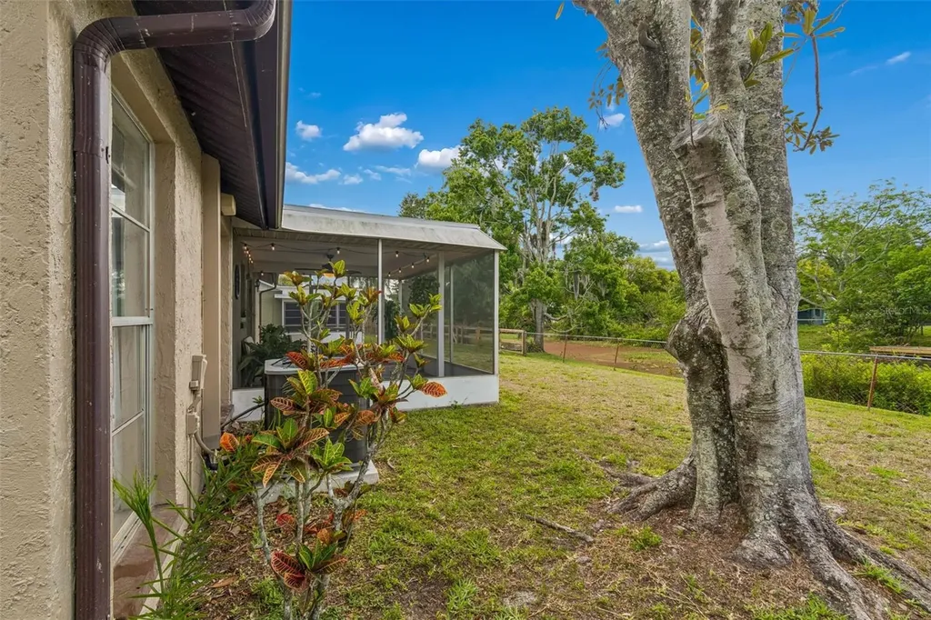 7038 Jenner Avenue New Port Richey FL 34655