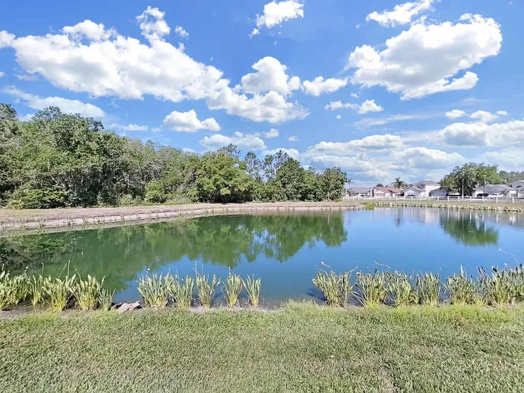 30612 Nickerson Loop Wesley Chapel FL 33543