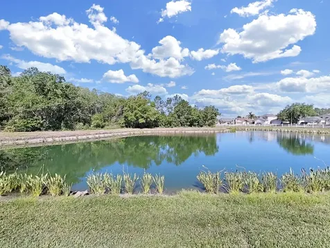 30612 Nickerson Loop Wesley Chapel FL 33543