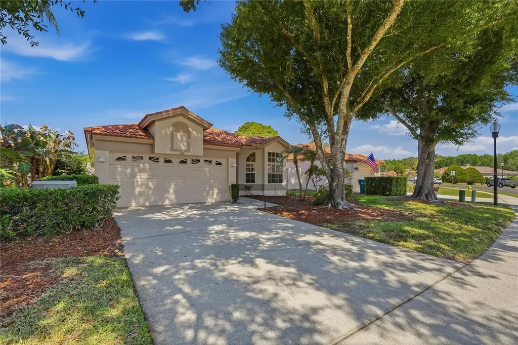 1186 Dartford Drive Tarpon Springs FL 34688