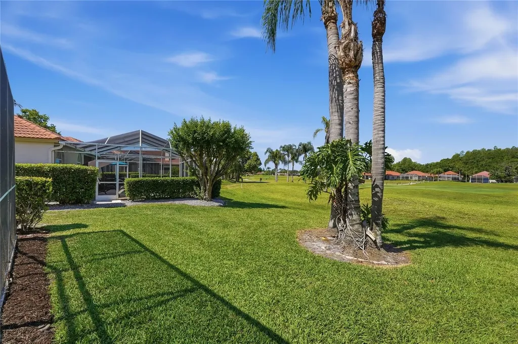 1186 Dartford Drive Tarpon Springs FL 34688