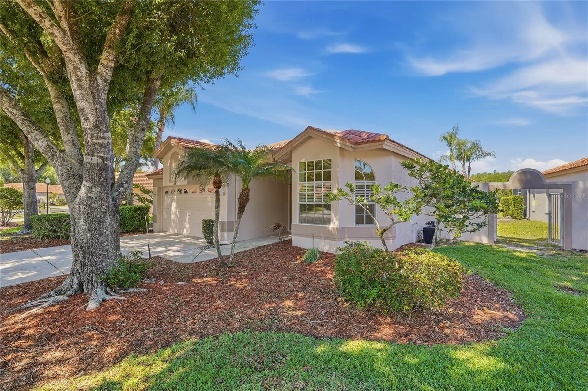 1186 Dartford Drive Tarpon Springs FL 34688