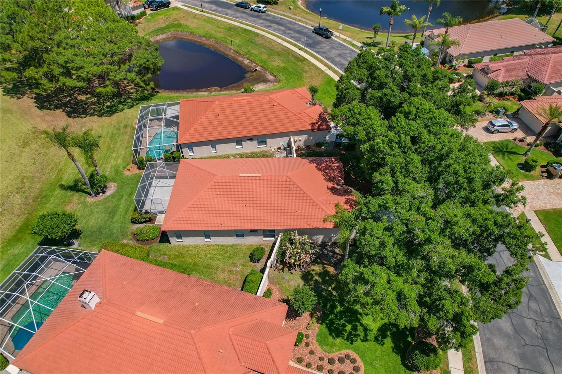 1186 Dartford Drive Tarpon Springs FL 34688