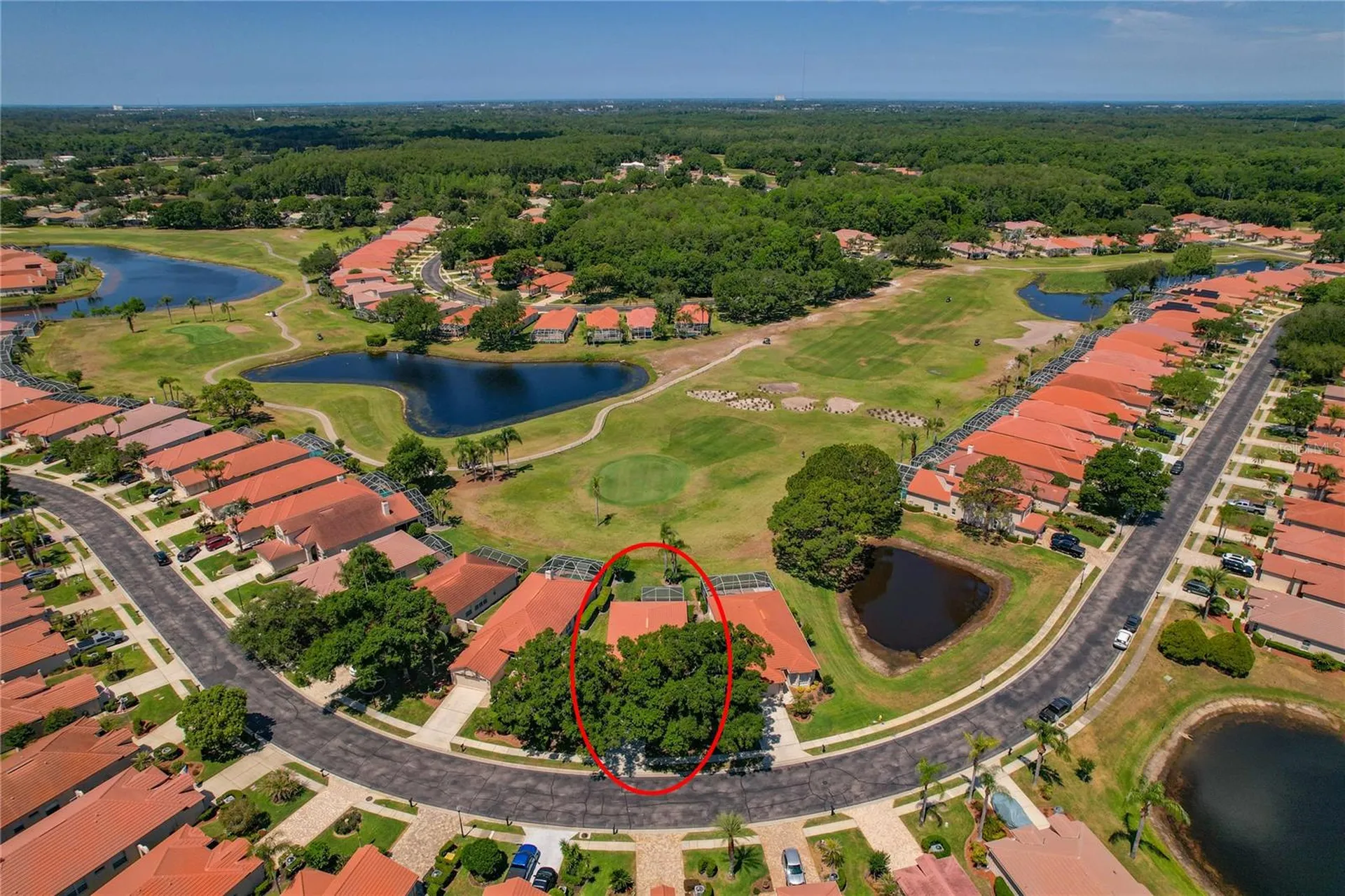 1186 Dartford Drive Tarpon Springs FL 34688