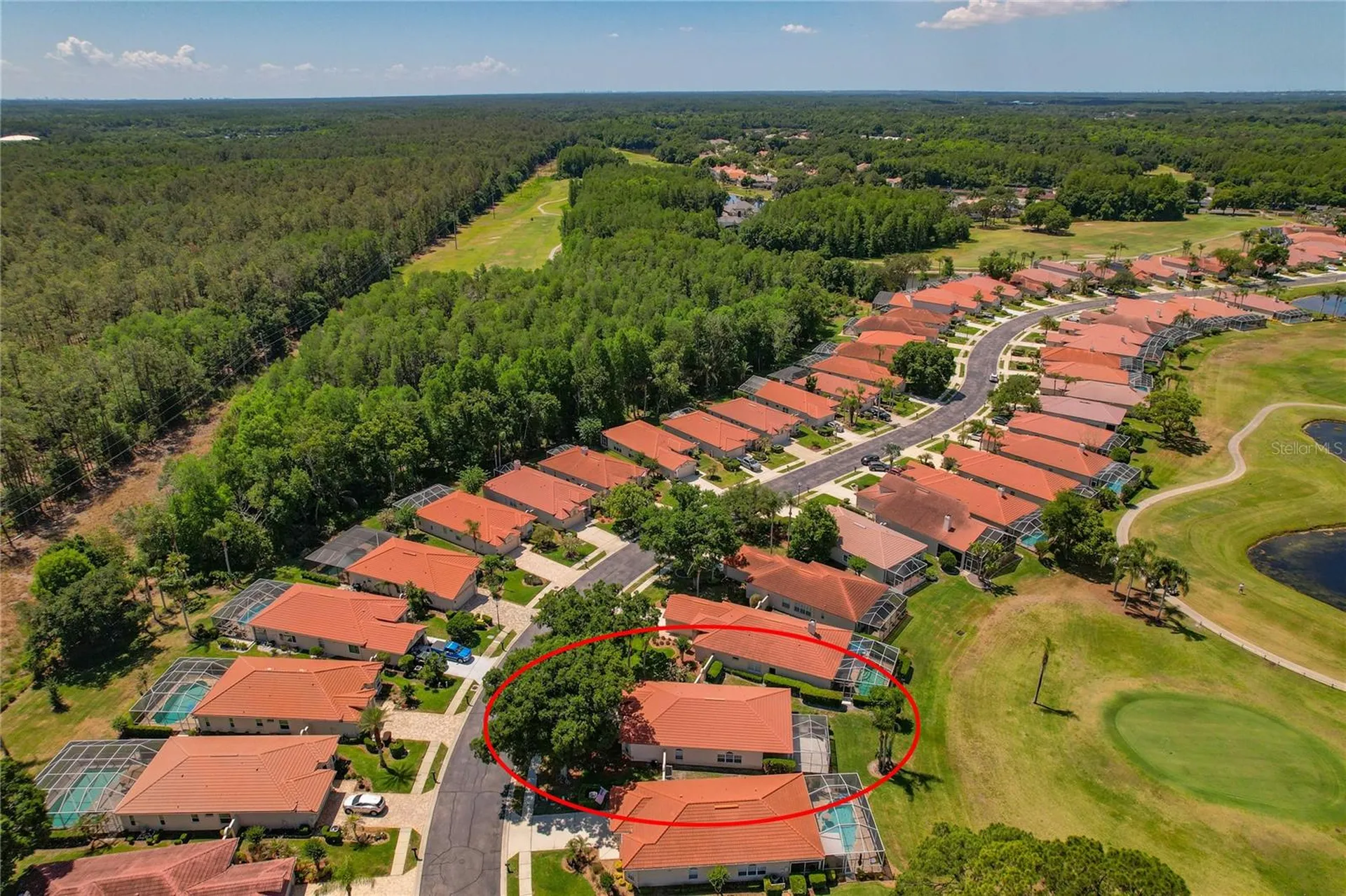 1186 Dartford Drive Tarpon Springs FL 34688