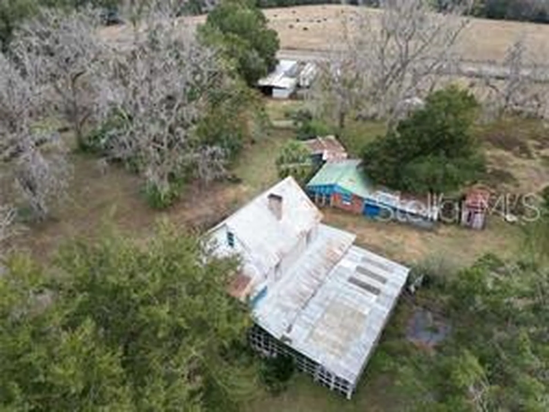 5950 NE Highway 41 Williston FL 32696