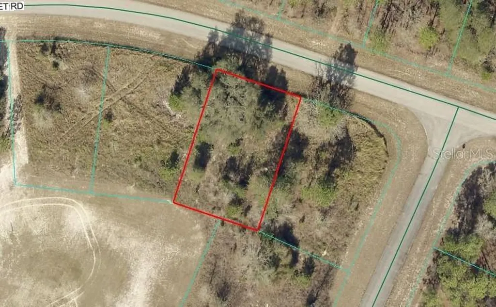 Tbd Lot 11 SW 144th Street Road Ocala FL 34473