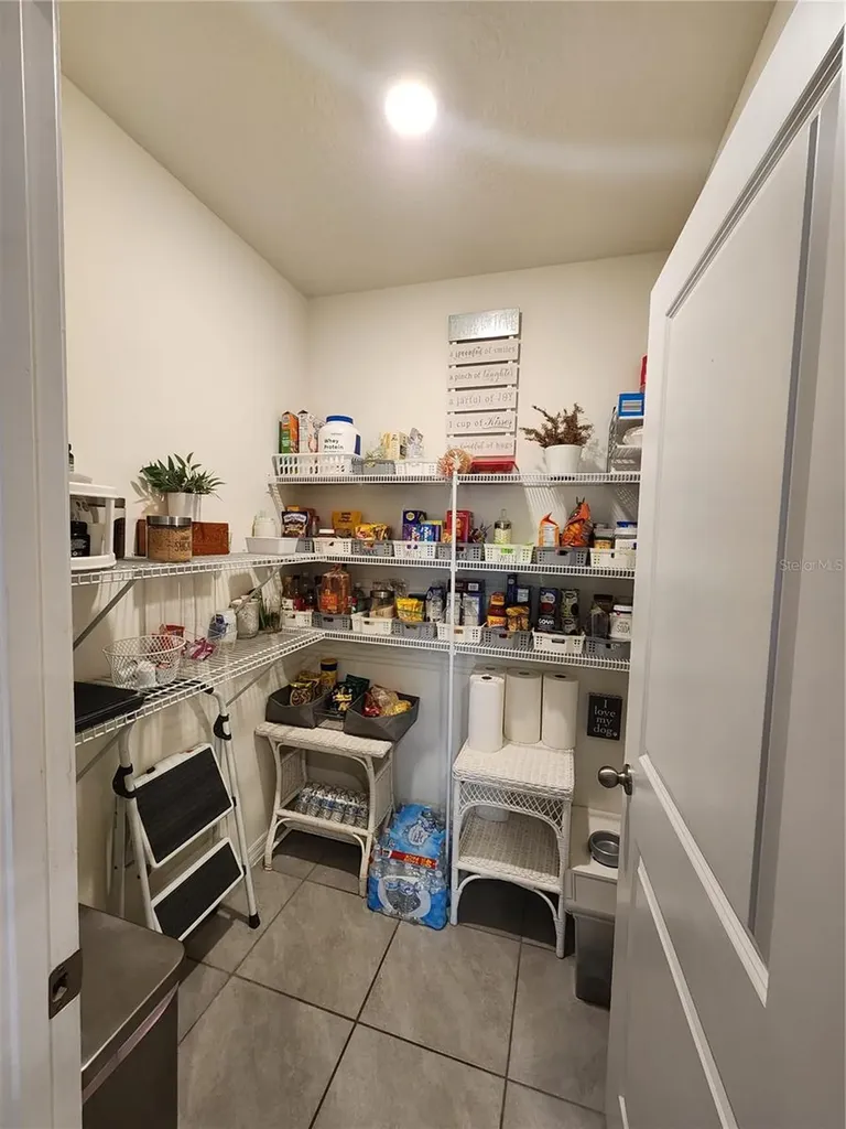 17033 Oval Rum Drive Wimauma FL 33598