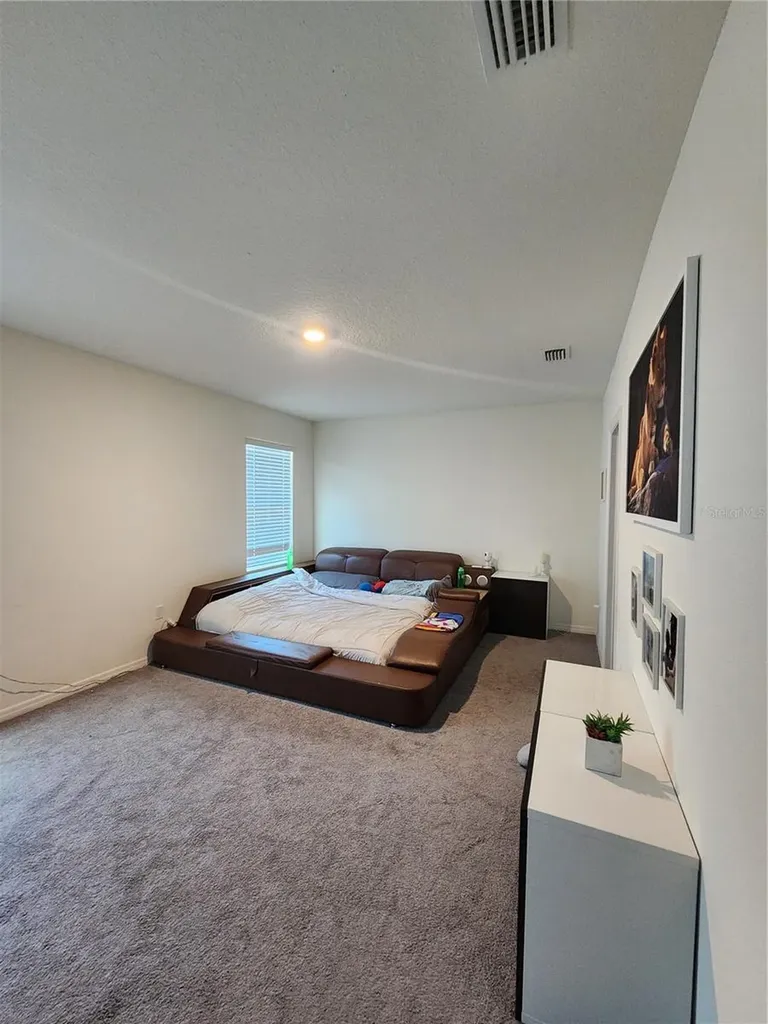 17033 Oval Rum Drive Wimauma FL 33598