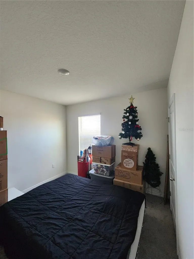 17033 Oval Rum Drive Wimauma FL 33598