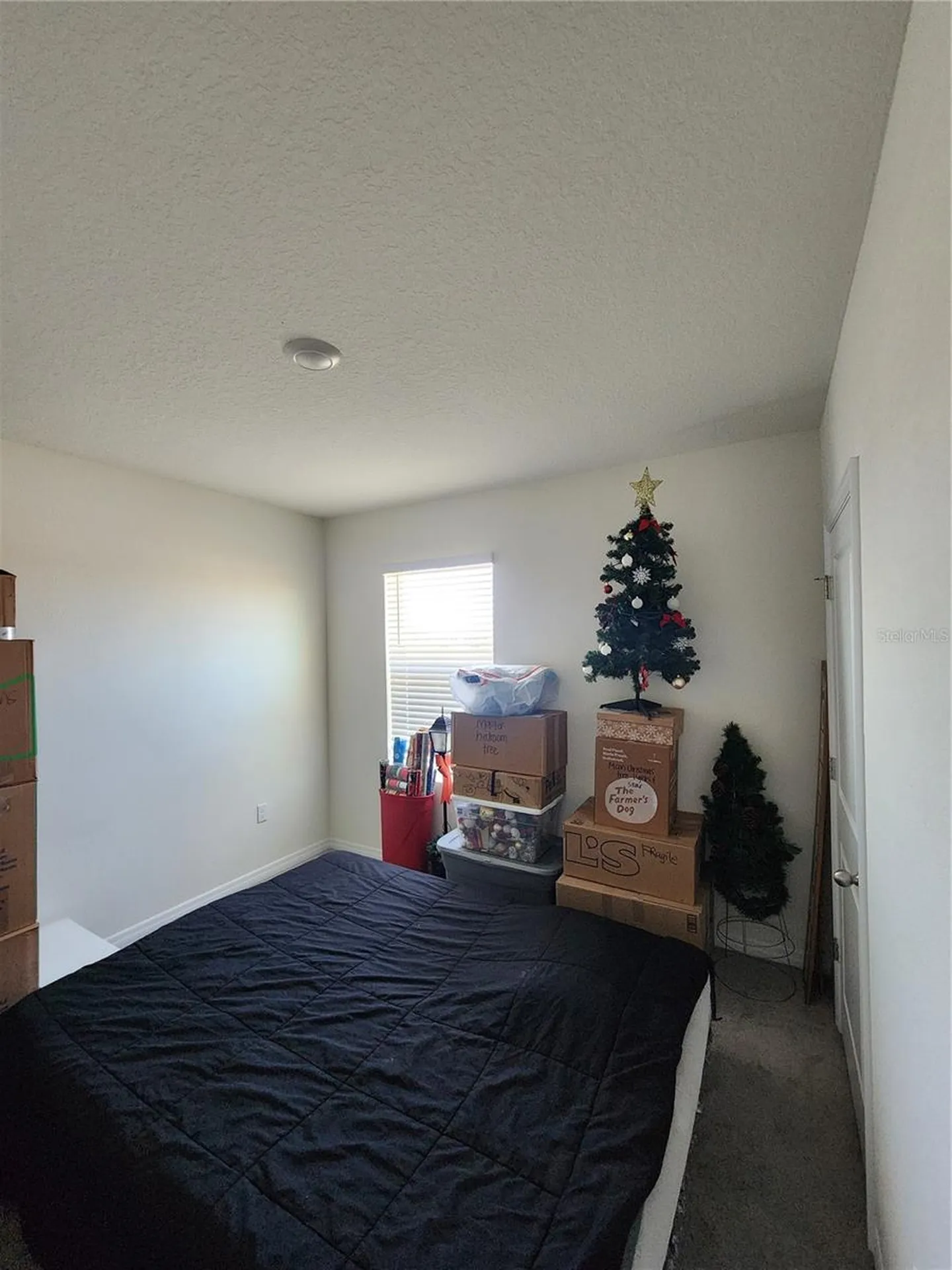 17033 Oval Rum Drive Wimauma FL 33598