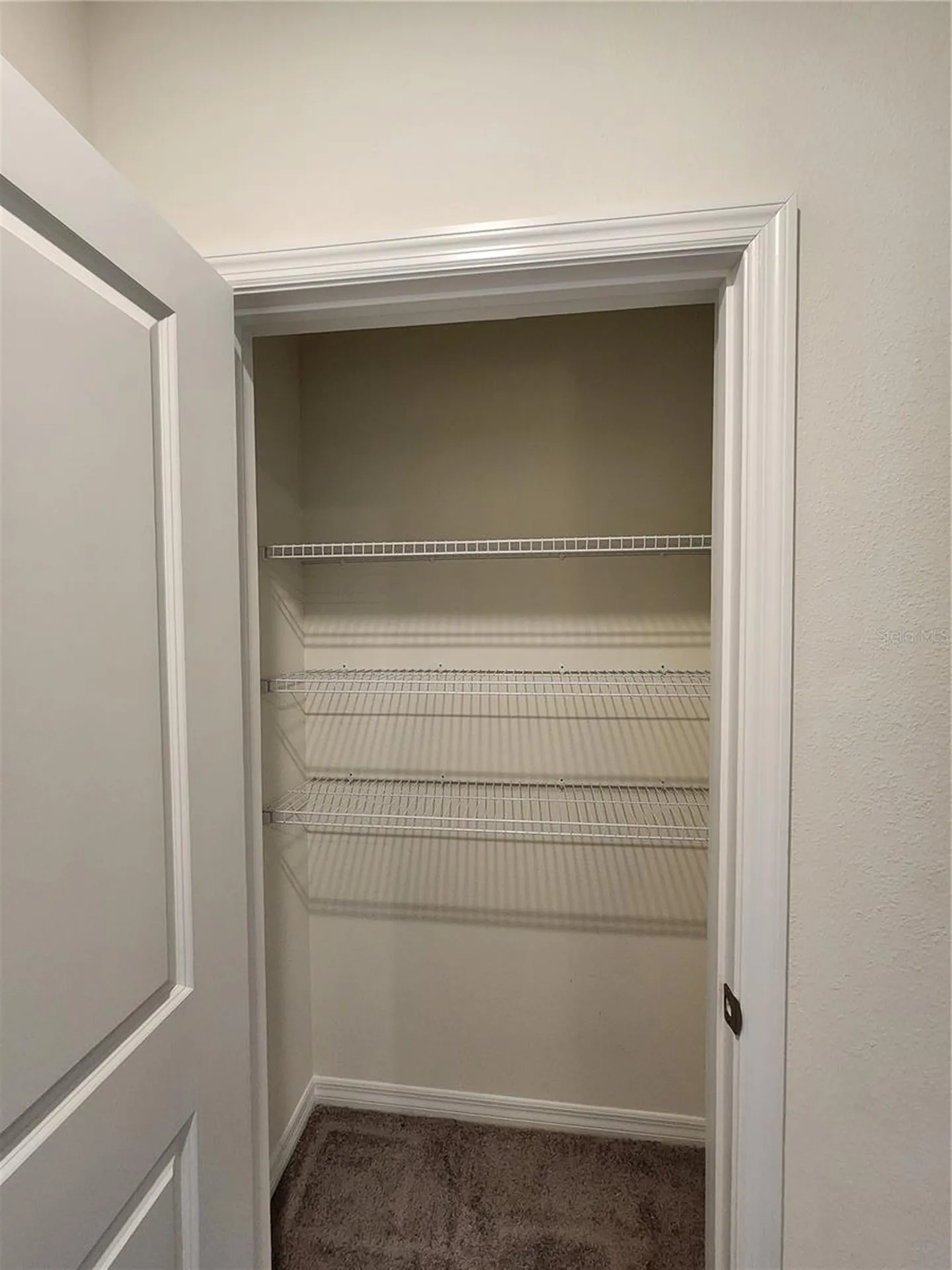 17033 Oval Rum Drive Wimauma FL 33598