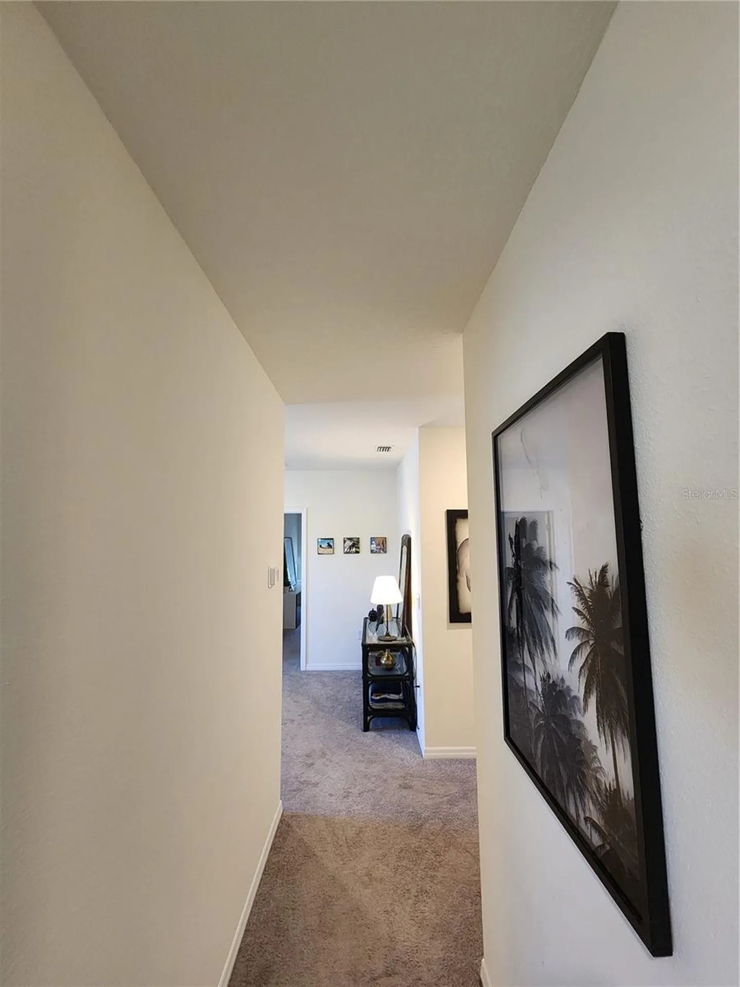 17033 Oval Rum Drive Wimauma FL 33598