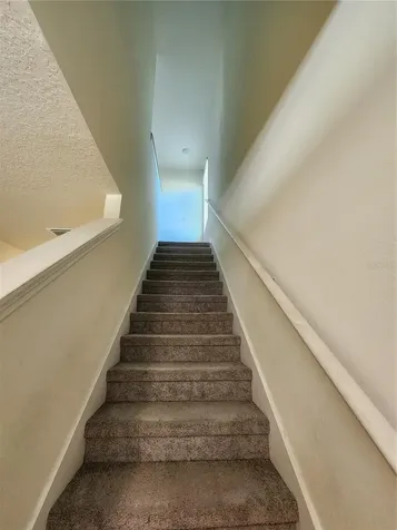 17033 Oval Rum Drive Wimauma FL 33598