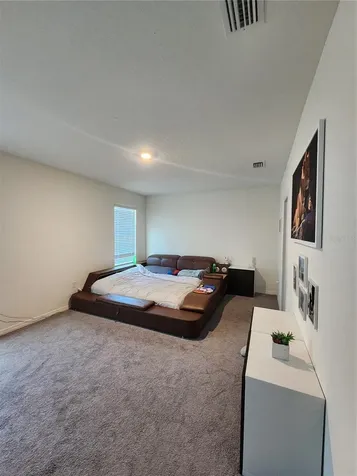 17033 Oval Rum Drive Wimauma FL 33598