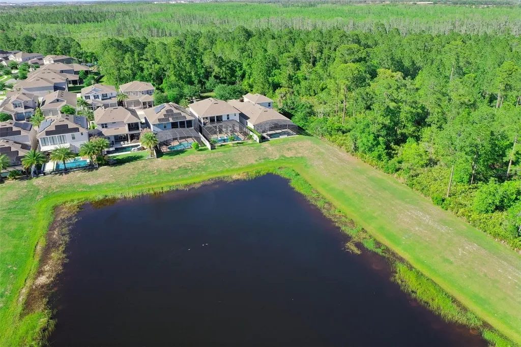 15306 Gilligan Court Winter Garden FL 34787