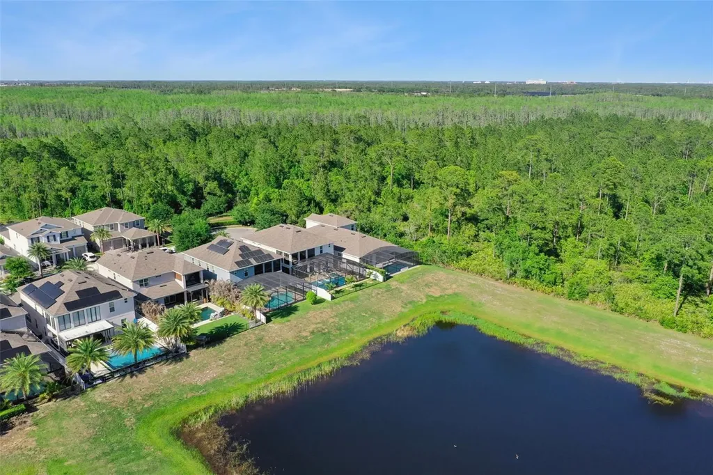 15306 Gilligan Court Winter Garden FL 34787