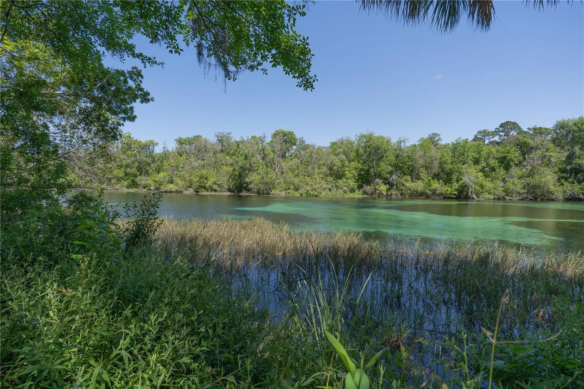 8873 SW 200th Circle Dunnellon FL 34431