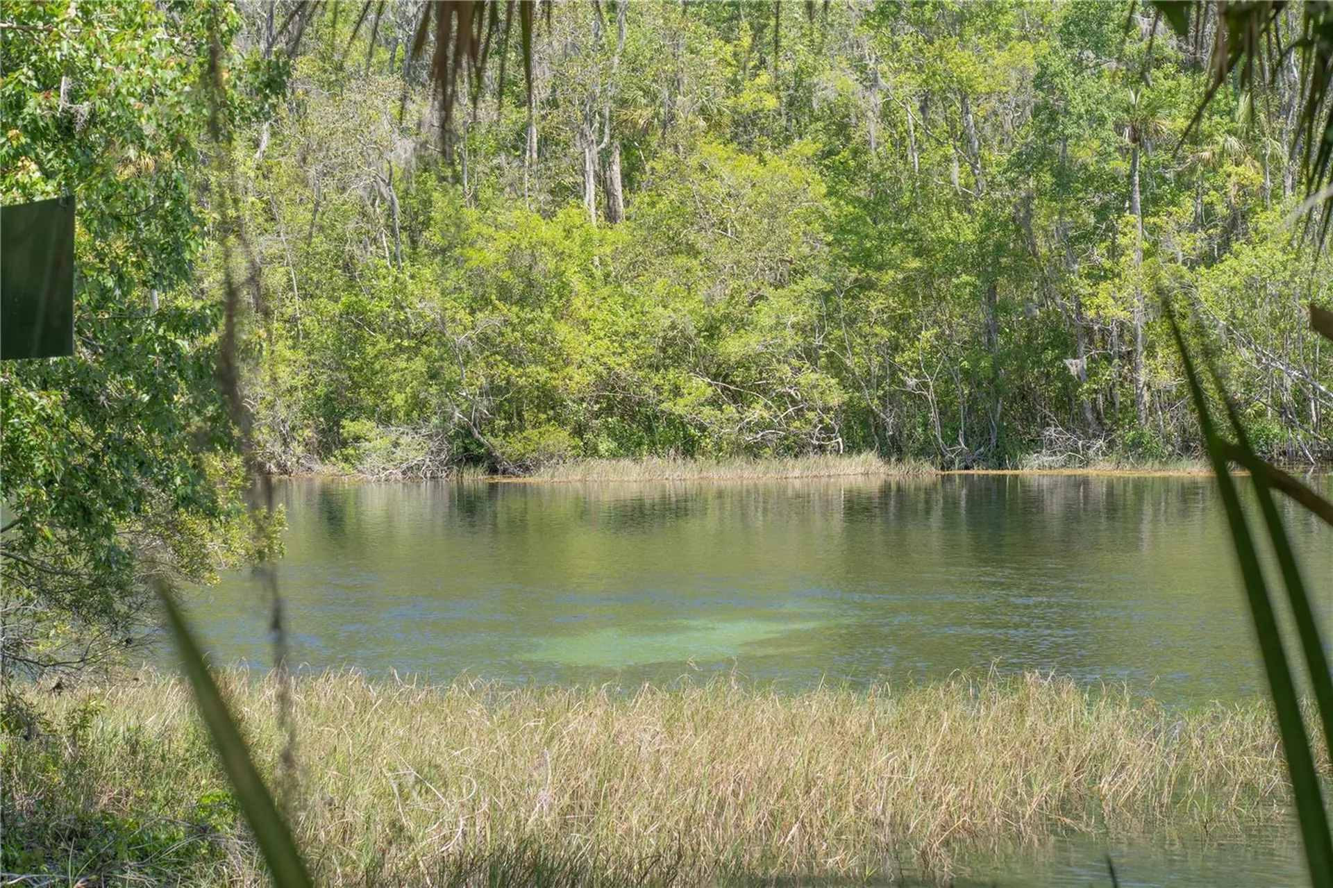 8873 SW 200th Circle Dunnellon FL 34431