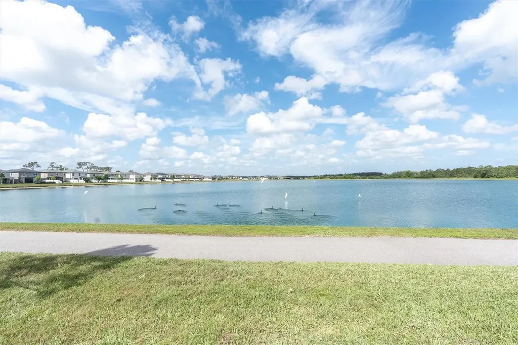 6353 Timberdale Avenue Wesley Chapel FL 33545