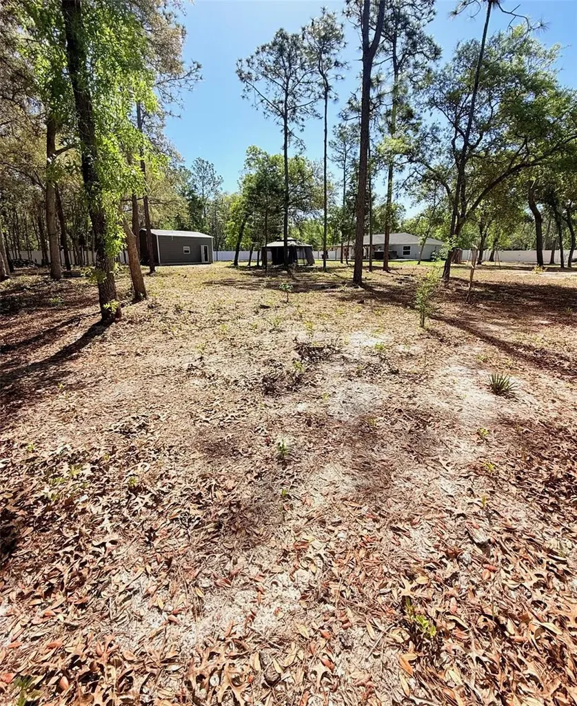 5620 SW 172nd Loop Ocala FL 34473