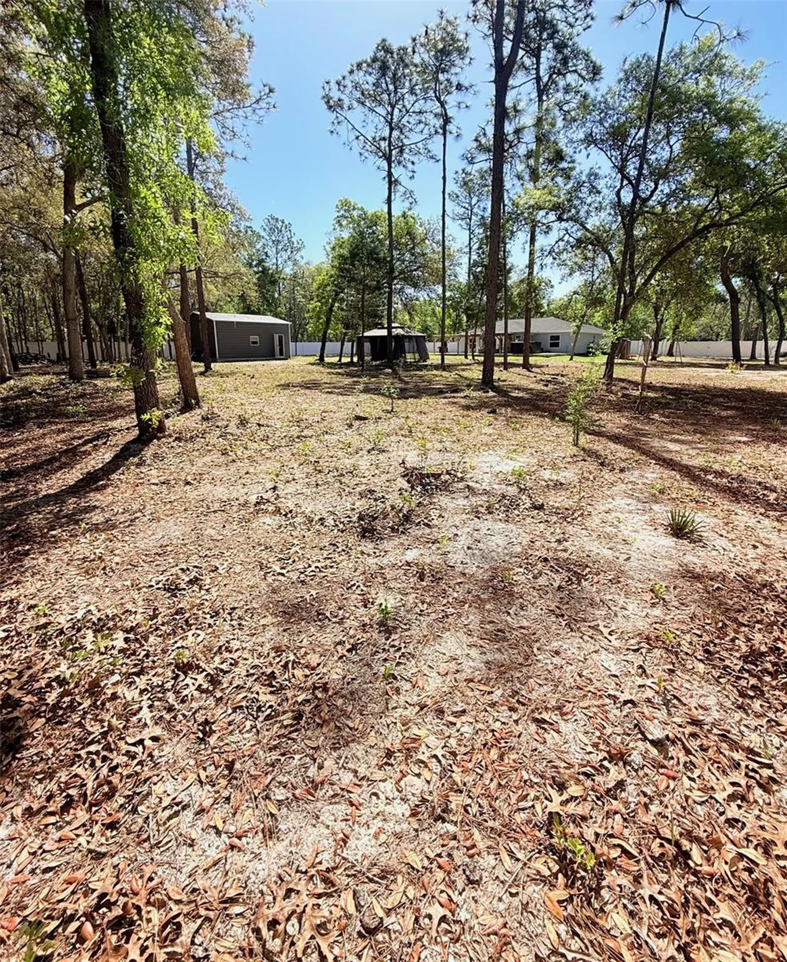 5620 SW 172nd Loop Ocala FL 34473
