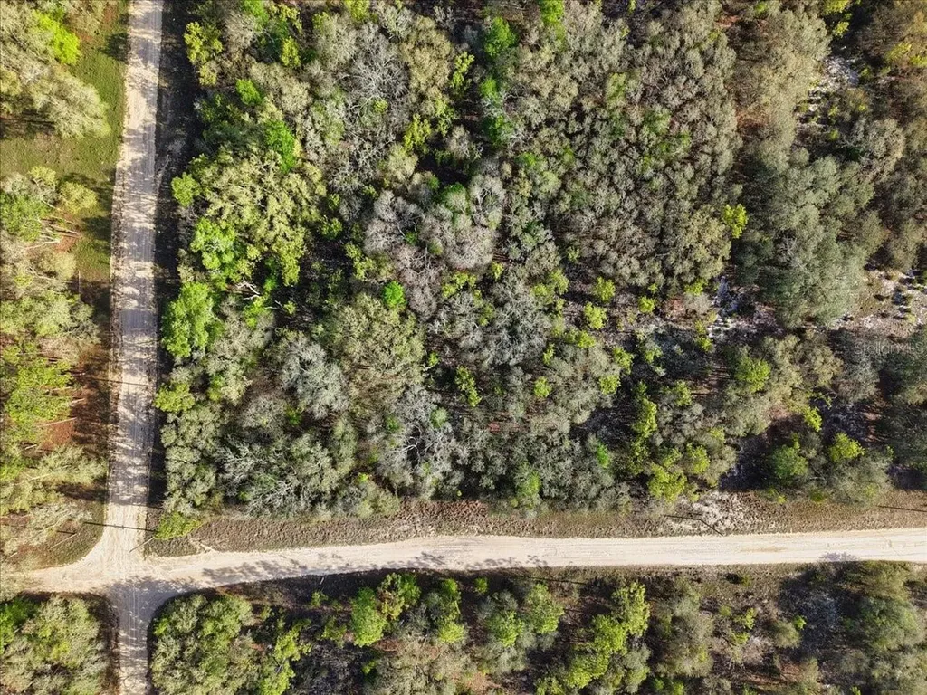 Lot 362 NE 82nd Place Bronson FL 32621