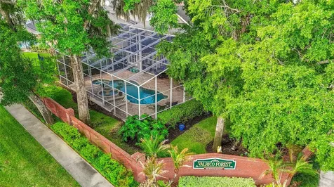 2425 Valrico Forest Drive Valrico FL 33594