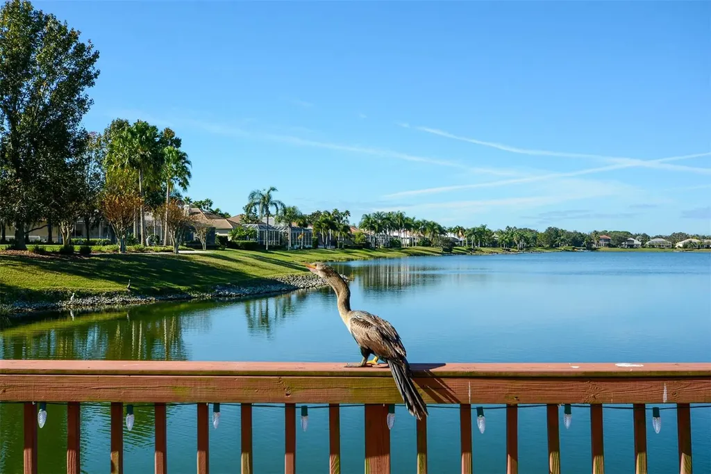 6716 Spring Moss Place Lakewood Ranch FL 34202