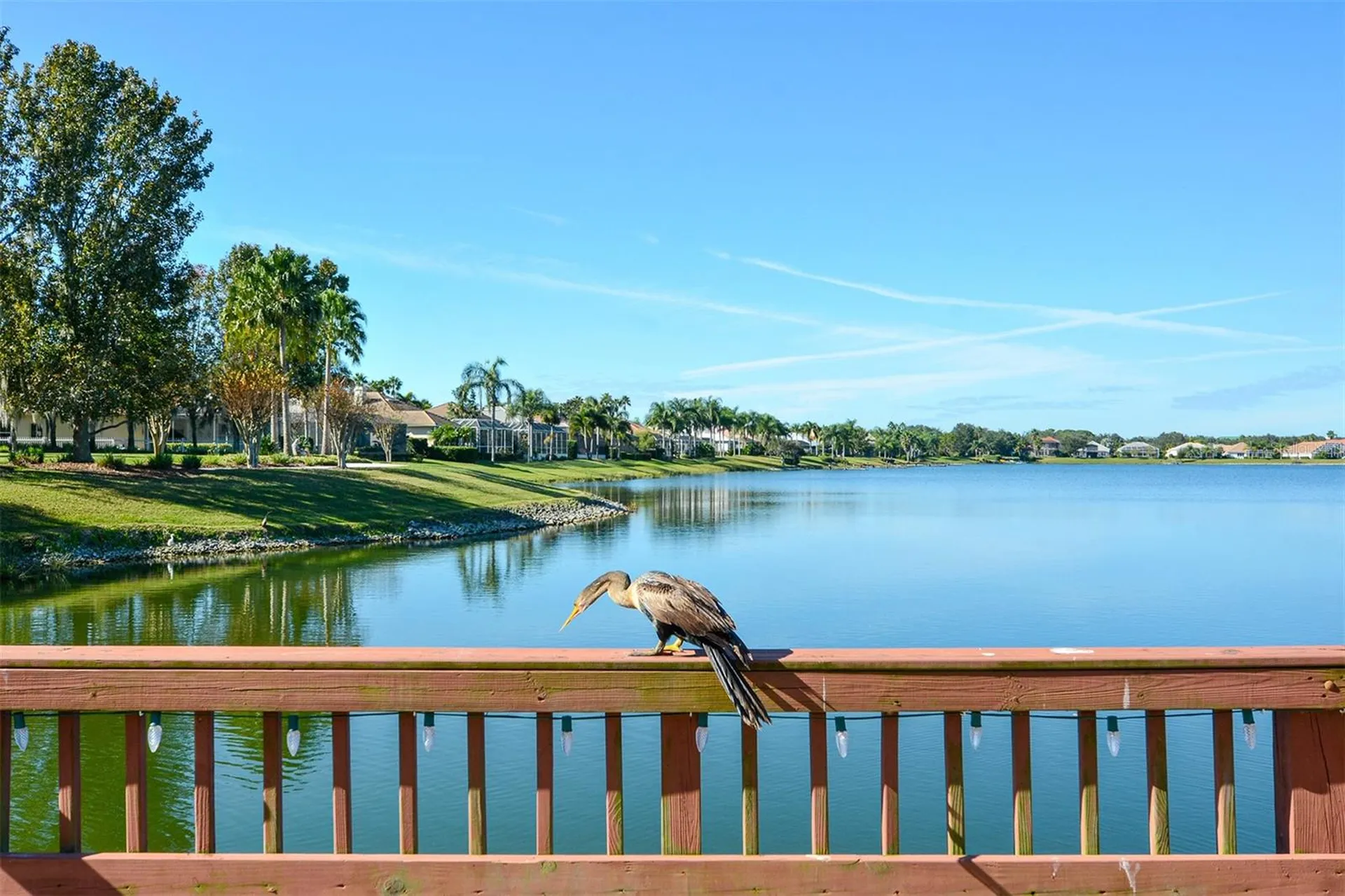 6716 Spring Moss Place Lakewood Ranch FL 34202