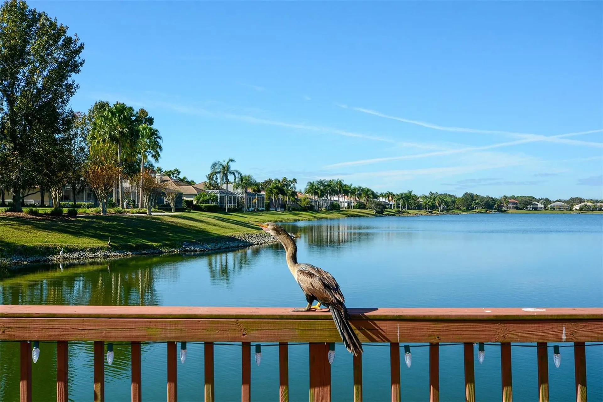 6716 Spring Moss Place Lakewood Ranch FL 34202