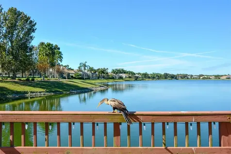 6716 Spring Moss Place Lakewood Ranch FL 34202