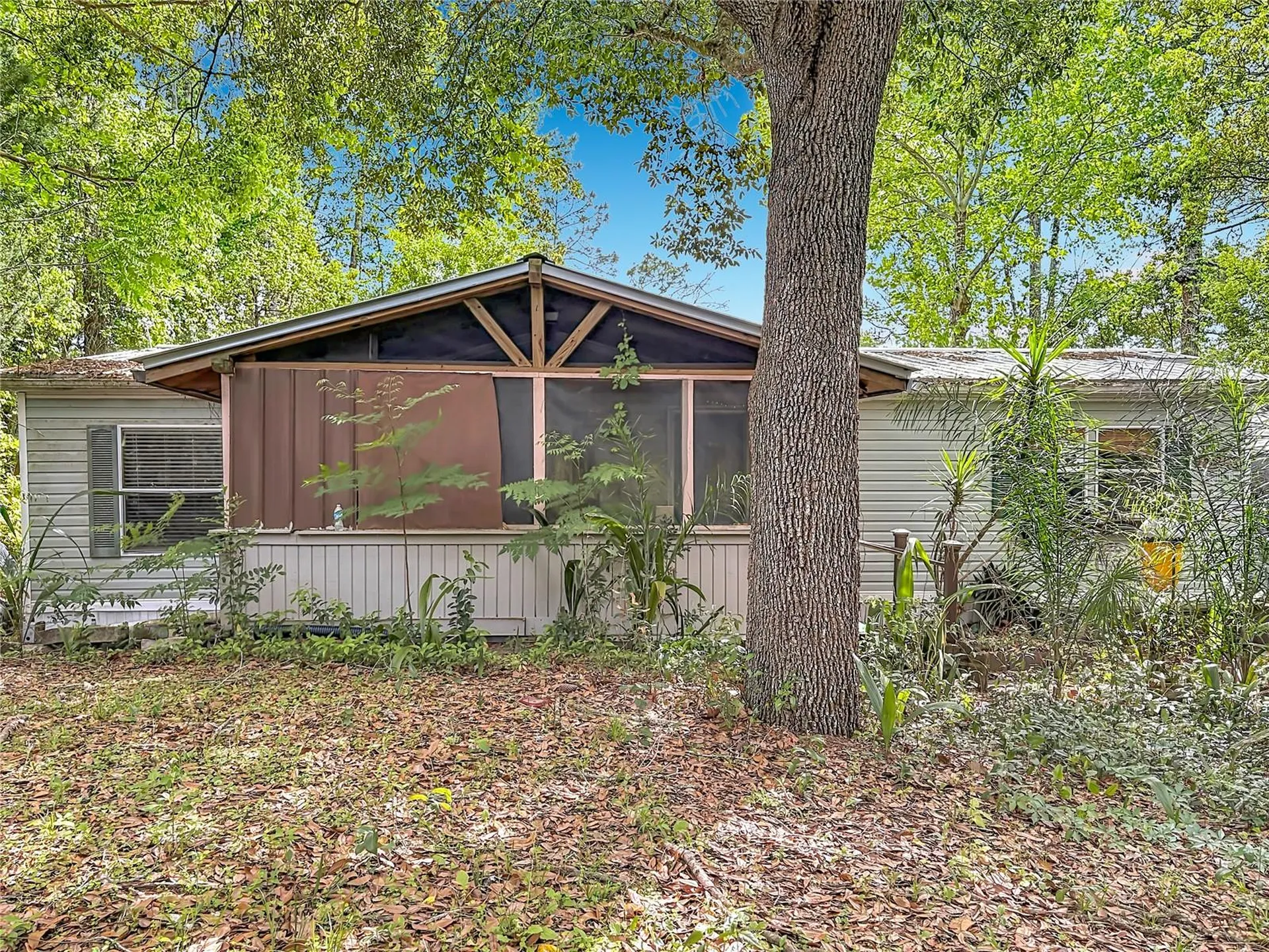 27912 Lake Avenue Paisley FL 32767