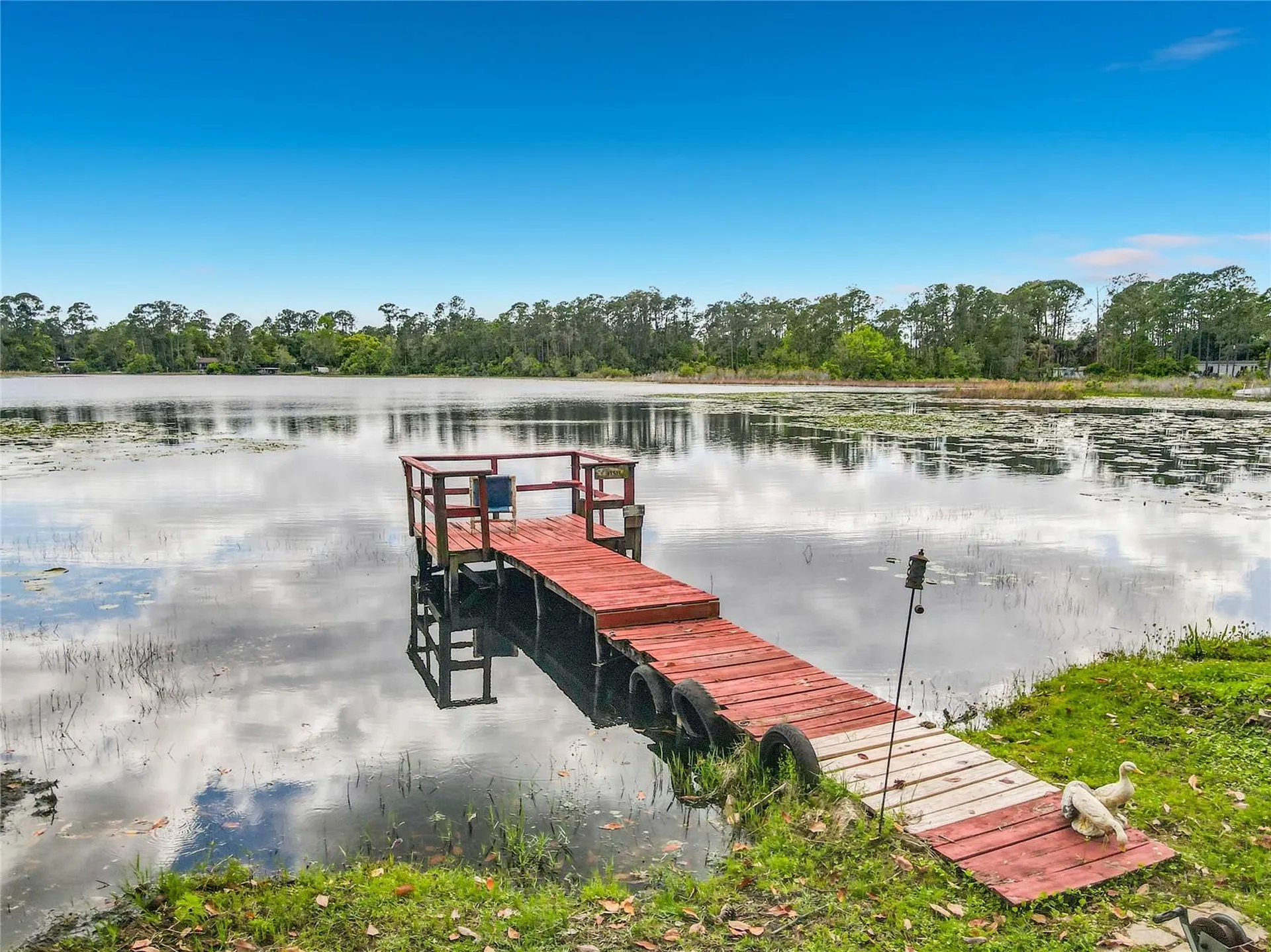 27912 Lake Avenue Paisley FL 32767