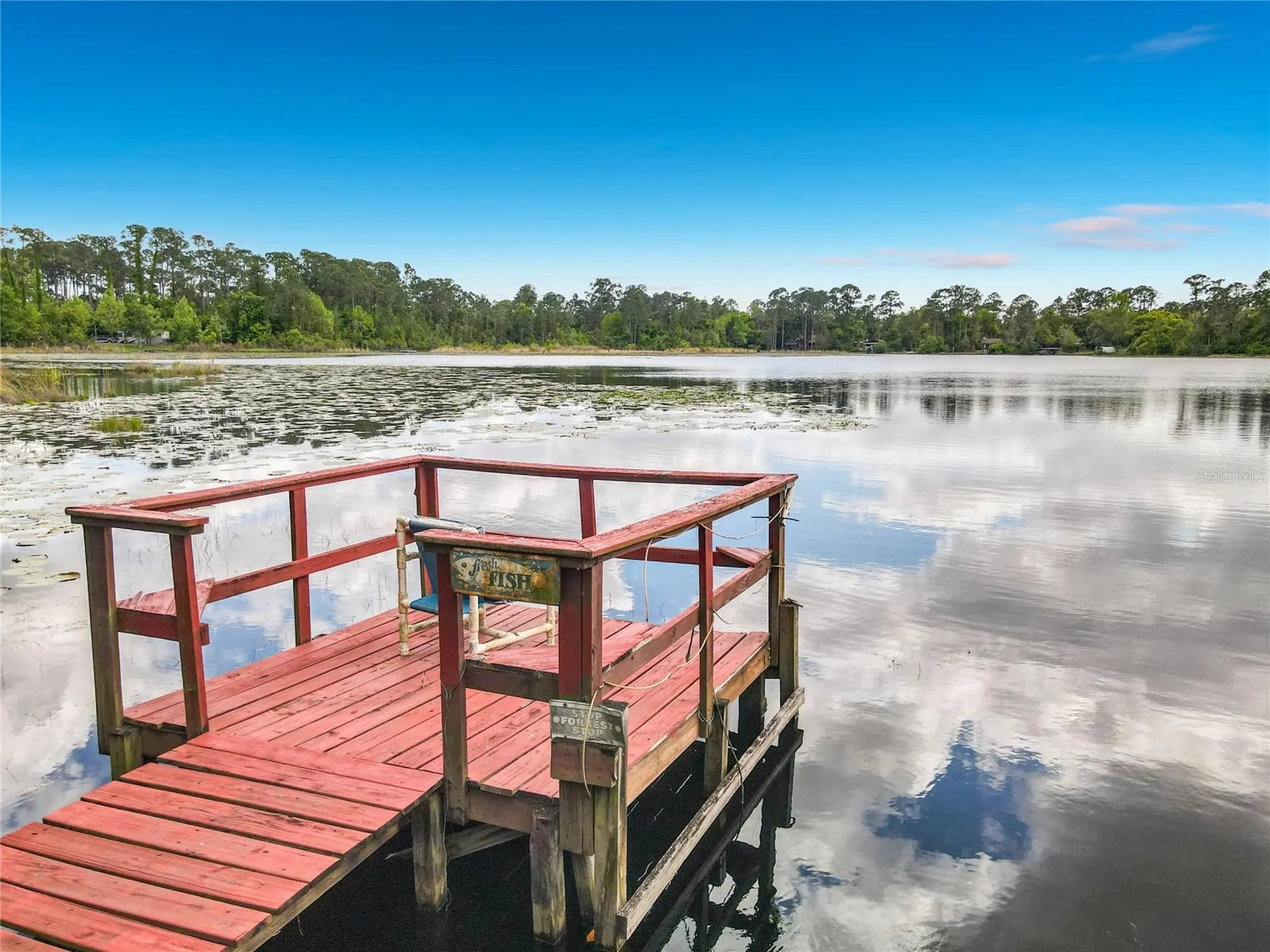 27912 Lake Avenue Paisley FL 32767