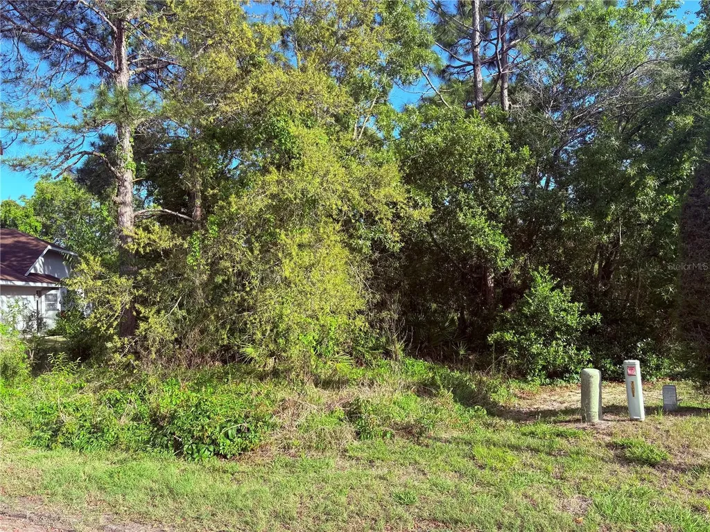 21 Sweetbay Court Homosassa FL 34446