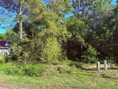 21 Sweetbay Court Homosassa FL 34446