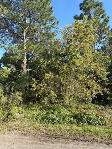 21 Sweetbay Court Homosassa FL 34446