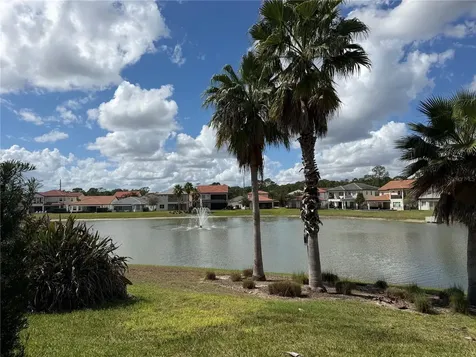 10799 Royal Cypress Way Orlando FL 32836
