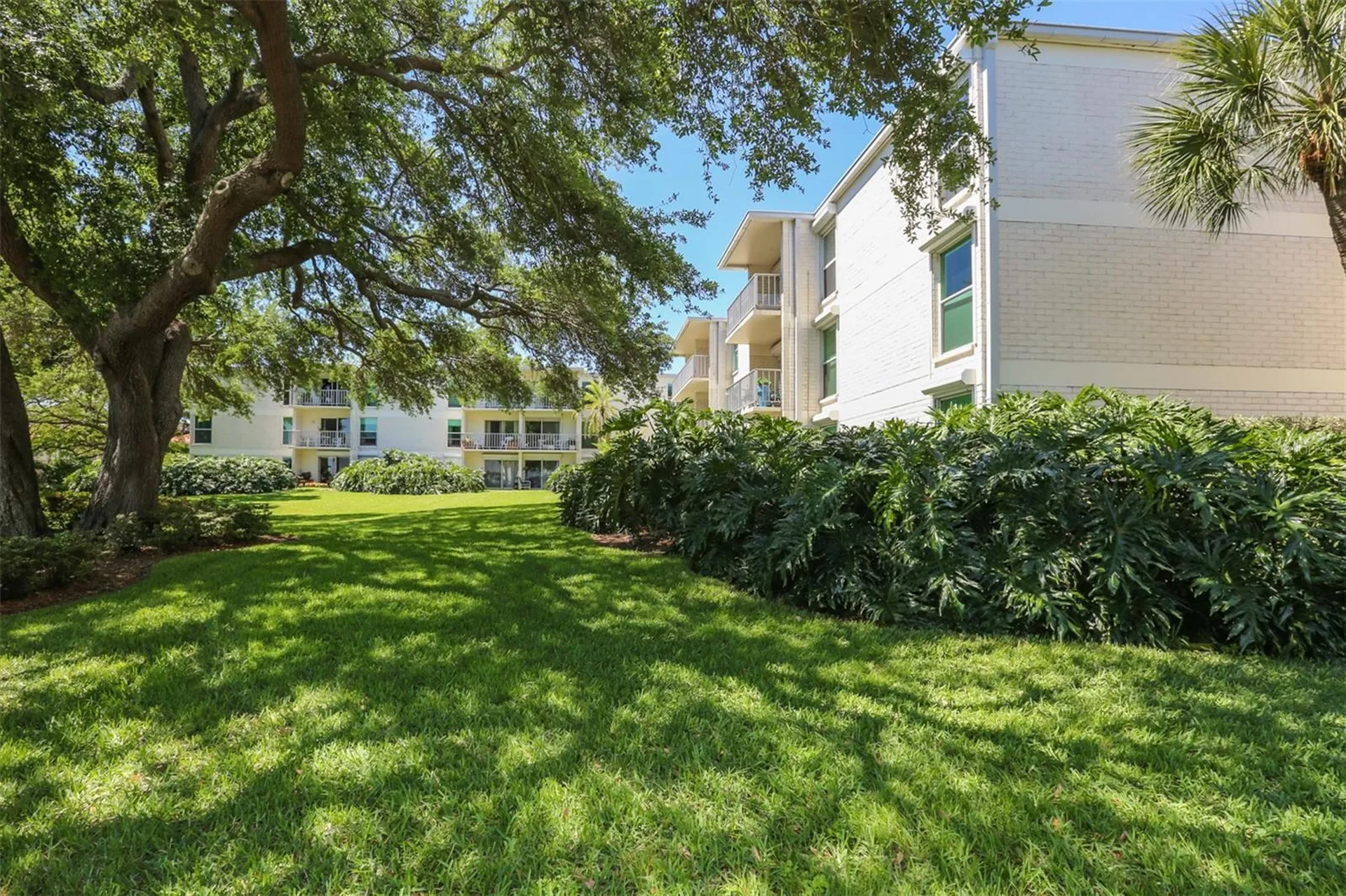 3325 Bayshore Boulevard Tampa FL 33629