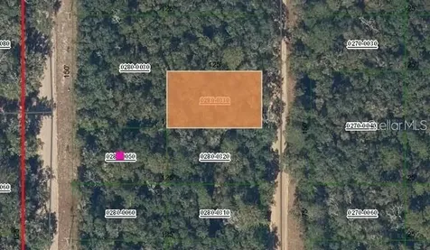 Brett Avenue Interlachen FL 32148