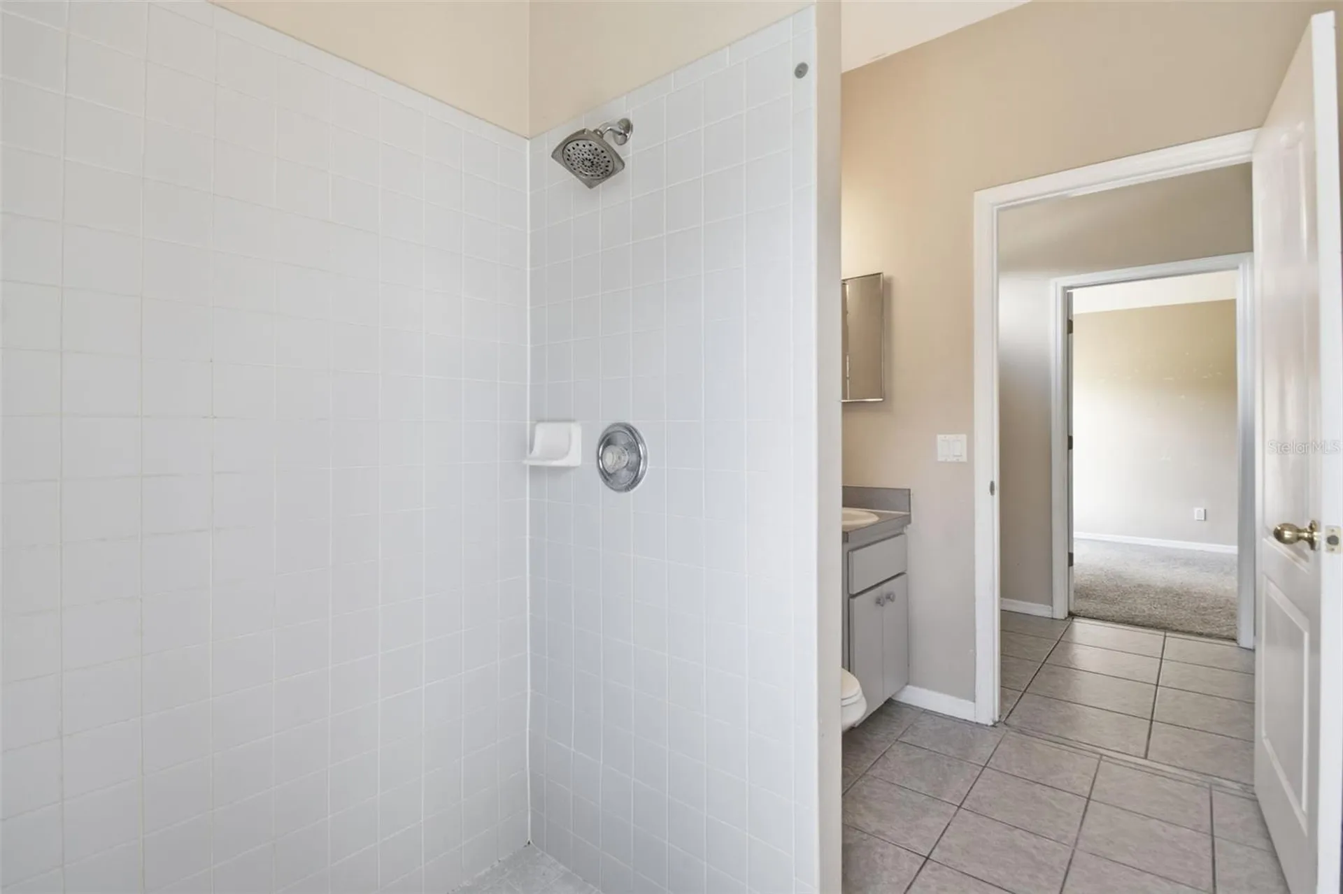 16825 Harrierridge Place Lithia FL 33547