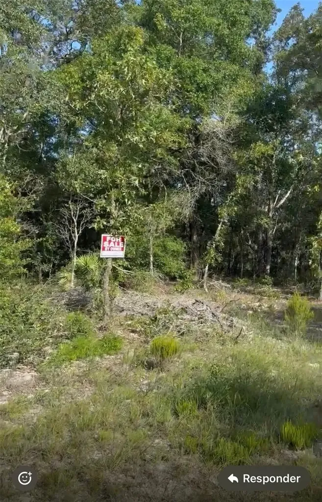 NE 97th Court Bronson FL 32621