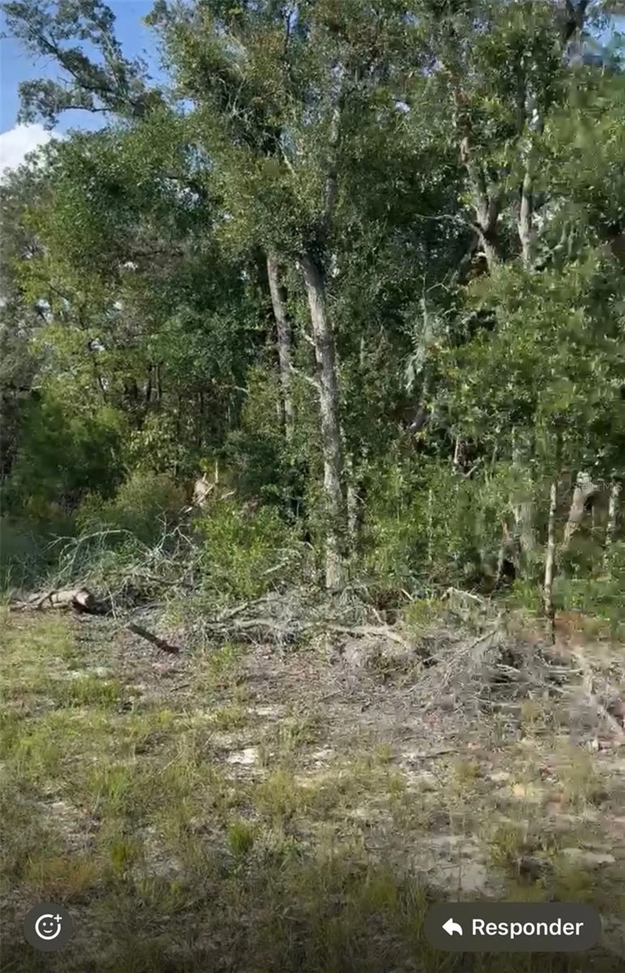 NE 97th Court Bronson FL 32621