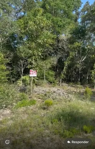 NE 97th Court Bronson FL 32621
