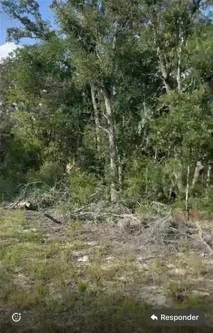 NE 97th Court Bronson FL 32621