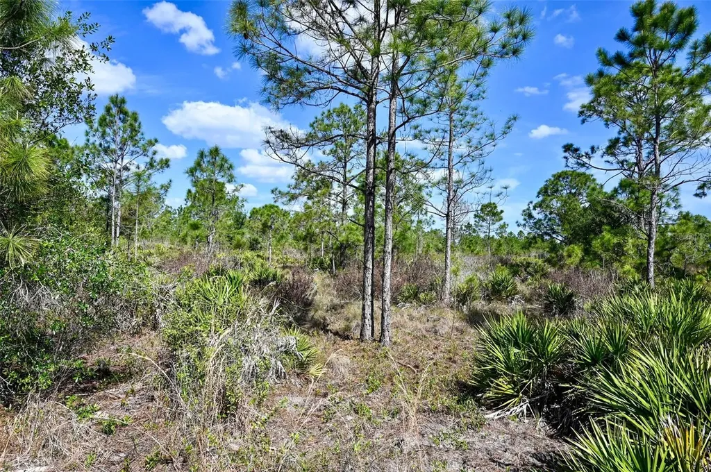 47200 Bermont Road Punta Gorda FL 33982