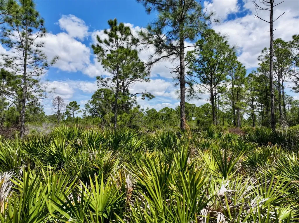 47200 Bermont Road Punta Gorda FL 33982