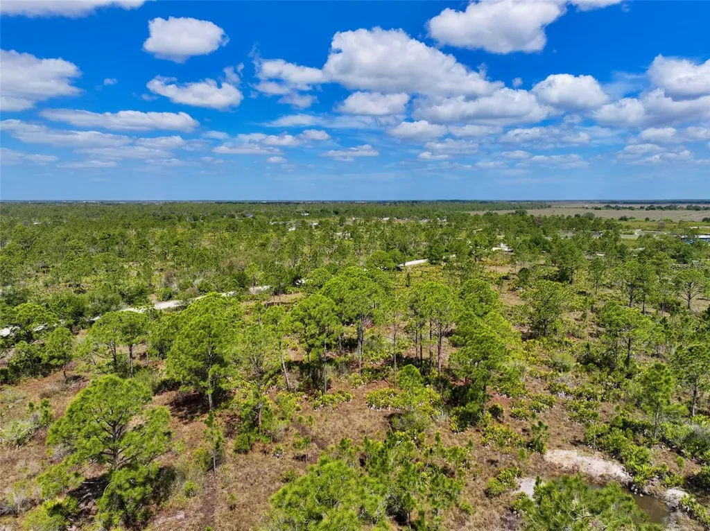 47200 Bermont Road Punta Gorda FL 33982